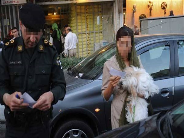 برخورد جدی با سگ‌ گردانی و ایجاد آلودگی صوتی در همدان