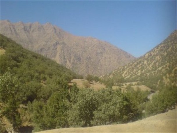 چه تهمیداتی برای جلوگیری از آتش سوزی مراتع و جنگلهای شهرستان چگنی در فصل گرما اندیشیده شده