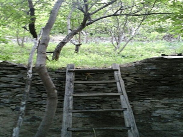 طبیعت بارانی روستای «کلاته‌آهن» طرقبه