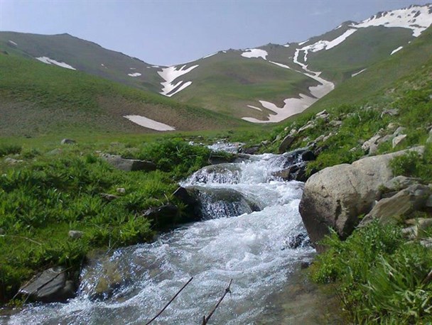 محصولات غنی و لبنیات عالی، در منطقه قارقالان/ آغاز بهار قارقالان  ماهنشان در خرداد ماه +تصاویر