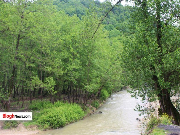 گزارش تصویری/ طبیعت زیبای بهاری بلیران آمل