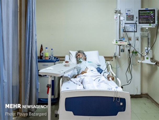 همه آنچه که باید درباره آبله میمون بدانید