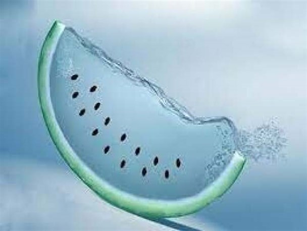 نمی‌توان کشت یک محصول را به طور کامل متوقف کرد/ با صادرات محصولات کشاورزی آب مجازی صادر می‌شود