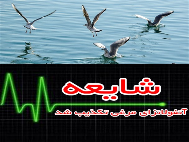 شایعه آنفولانزای پرندگان در سلماس صحت ندارد
