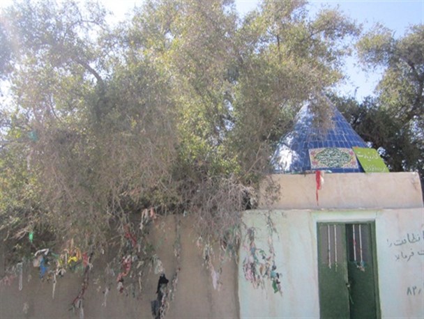 زیارتگاه «کُنار زیارت» در گراش/تصاویر