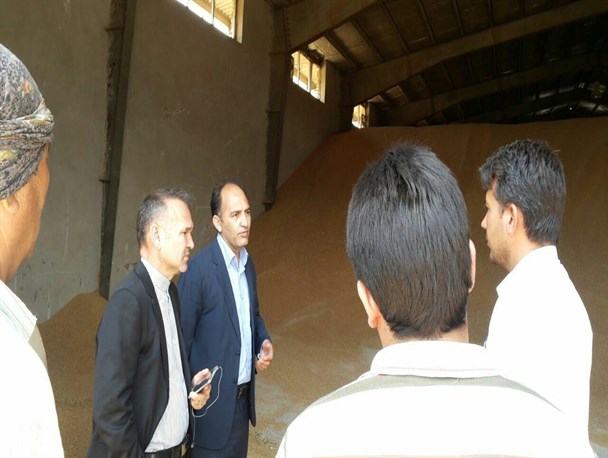 بازدید نماینده شرق گلستان از وضعیت سیلوهای گندم در منطقه/تصاویر