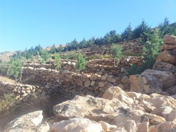 بهشتی در کوه برده زرد بوکان