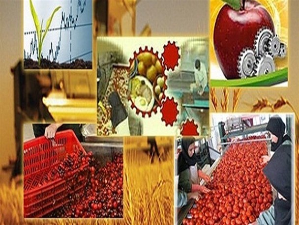 اجرای بیش از ۳۳۰ طرح اشتغال توسط کمیته امداد استان کرمان