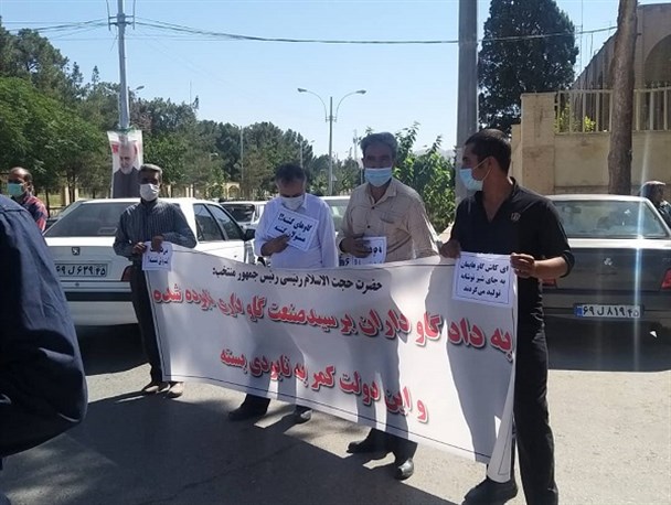 حق پایمال شده گاوداران در دستان دلالان بازار شیر/ بی‌توجهی استانداری کرمان به تجمع دامداران کرمانی