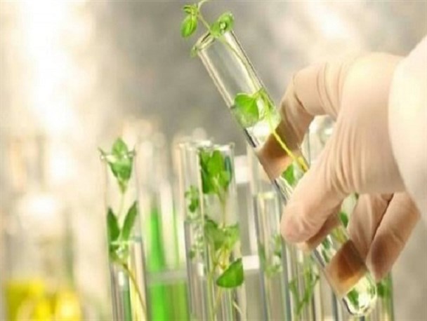 کلینیک‌های گیاه‌پزشکی مرجعی برای مبارزه با آفات در مزارع هستند