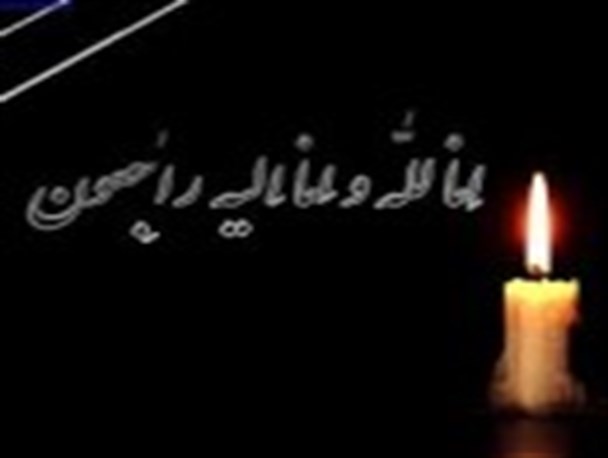 مادر شهید کریمی‌نسب به فرزندش پیوست