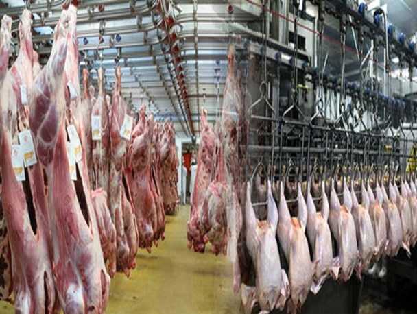 بزرگترین بازار دام شرق کشور کشتارگاه صنعتی ندارد