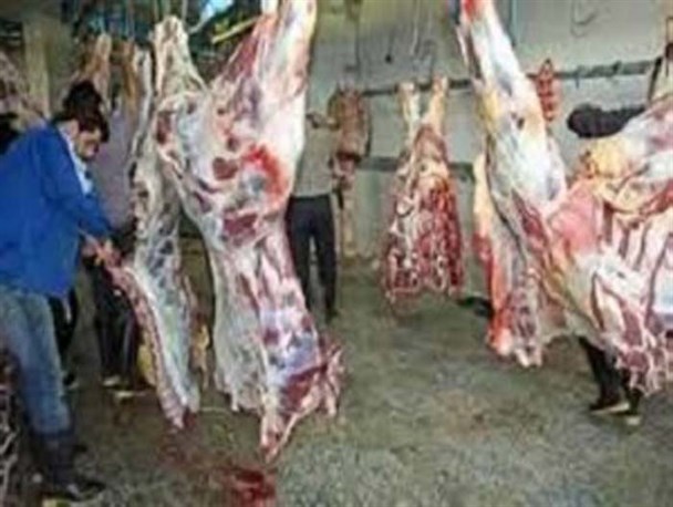 نذورات قربانی به صورت حضوری و غیرحضوری در قزوین جمع‌آوری می‌شود