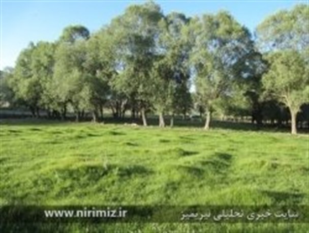 جلوه هایی زیبا از طبیعت نیر