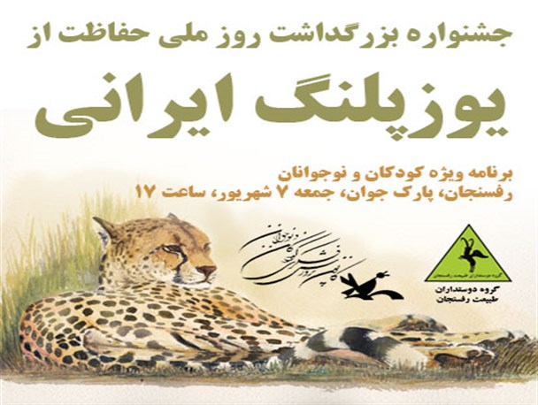 جشنواره بزرگداشت از یوزپلنگ ایرانی در رفسنجان برگزار می شود
