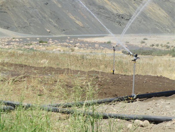 طرح آبیاری تحت فشار بارانی در روستای چم پلک شهرستان چگنی به بهره برداری رسید