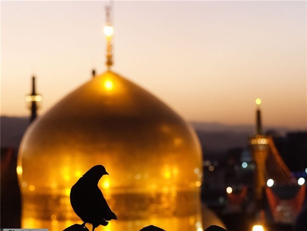 ارادت به امام هشتم در عمل نمودار می شود
