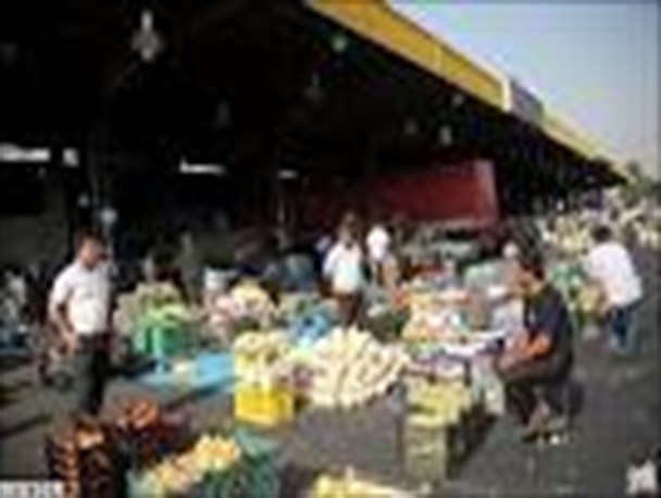 فریدونکنار کشتارگاه و میدان میوه و تره‌بار ندارد