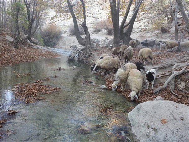 طبیعت زیبای نگین زاگرس از قاب دوربین