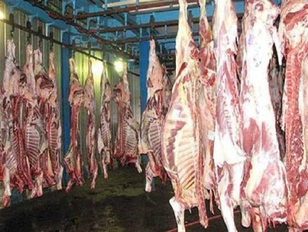 قیمت مجاز گوشت گوسفند در نهبندان اعلام شد