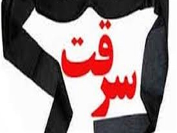 دستگیری سه سارق در شهرستان ایوان