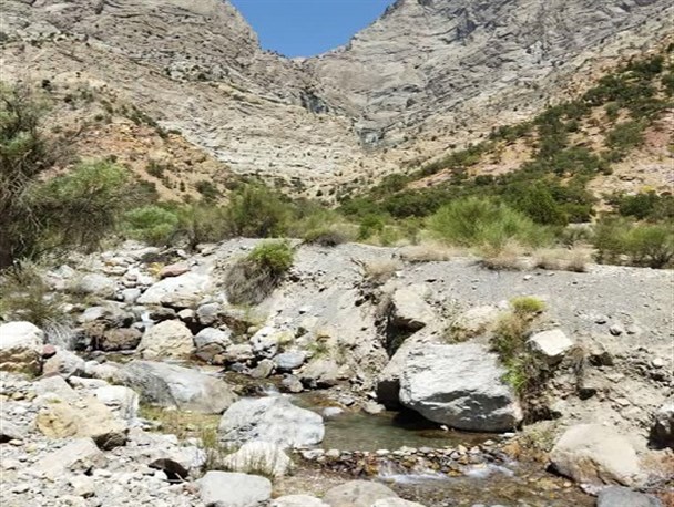 استمداد اهالی روستای "بادنگان" بخش پاتاوه در شهرستان دنا از مسئولان