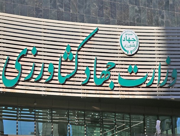 دروازه‌های واردات روغن زیتون را ببندید/ جای خالی قیمت‌گذاری مناسب مرغ در بخش دام و طیور