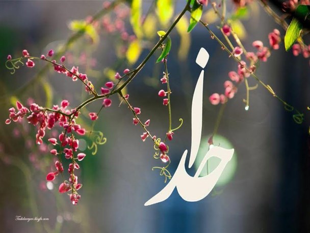 هر وقت دیدی غم دارد تو را می گیرد