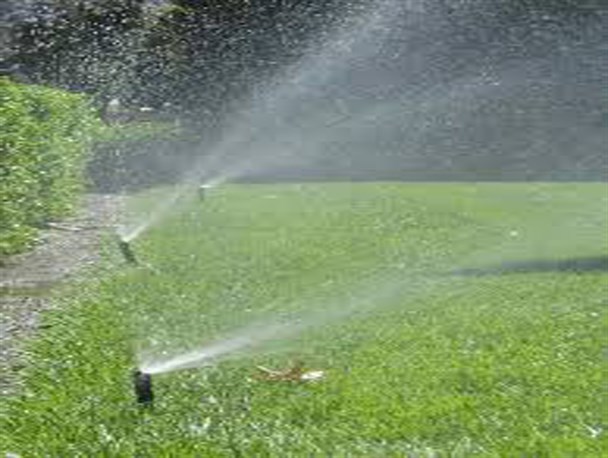 استفاده 85 درصدی فضای سبز ابرکوه از آب کشاورزی