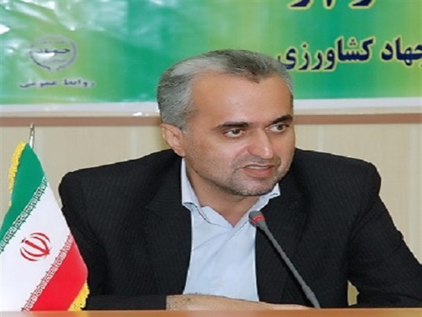 جهاد سازندگی بازوی توانمند رزمندگان در دفاع مقدس بود