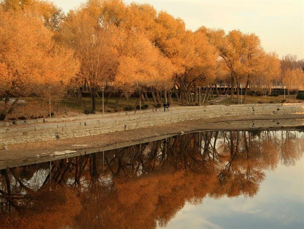 زیبایی برگ ریزان پاییز اصفهان+ تصاویر