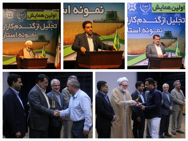 گندمکاران نمونه هرمزگانی تجلیل شدند+تصاویر