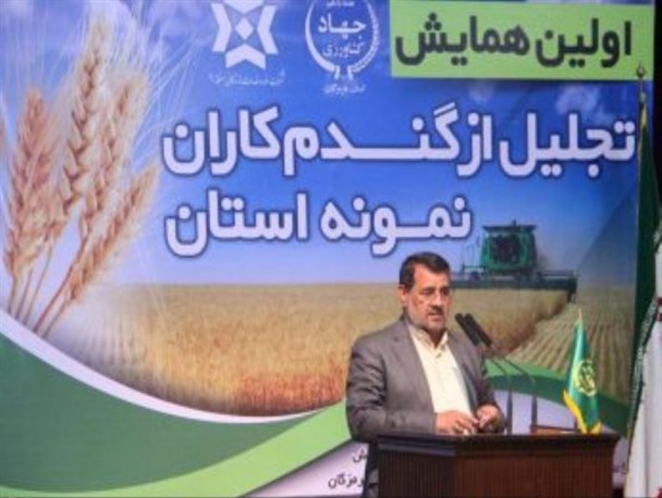 تولید 62 هزار تنی گندم در سال جاری/ احداث سیلوی نگه داری گندم باید تعیین تکلیف شود