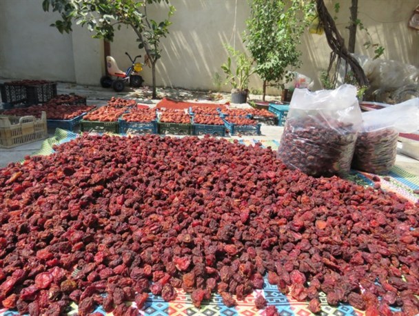 اعطای بیش از 500 میلیون تومان تسهیلات مشاغل خانگی در سال 96 در خلیل‌آباد