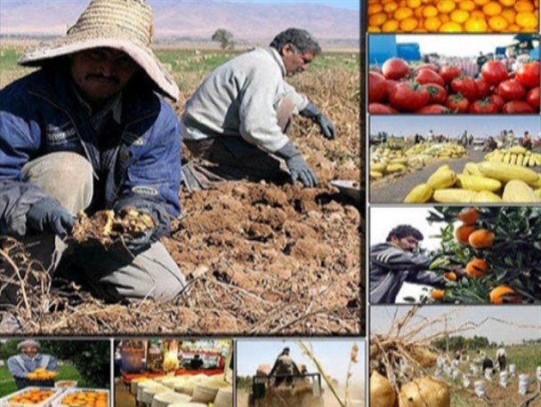 نرخ بیکاری در استان کرمانشاه ۱۵.۷ درصد است /  کاهش ۲.۵ درصدی نرخ بیکاری استان کرمانشاه با ایجاد ۴۷ هزار فرصت شغلی