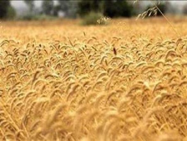 موانع پرداخت وام‌های اقتصاد مقاومتی تسهیل شود