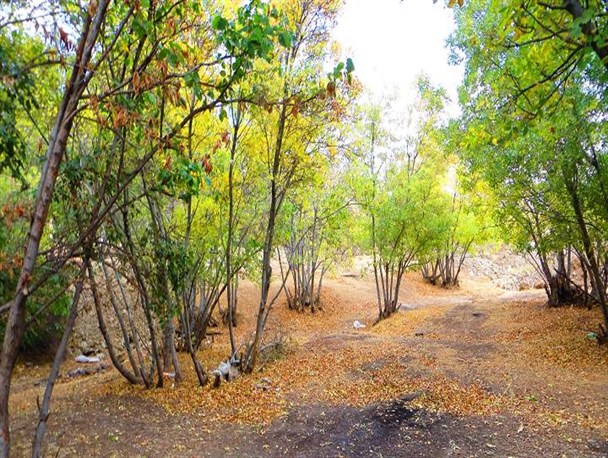تصاویر زیبای پاییزی از روستای خان‌آباد در خمین