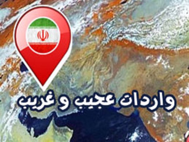 پوستر / واردات عجیب و غریب