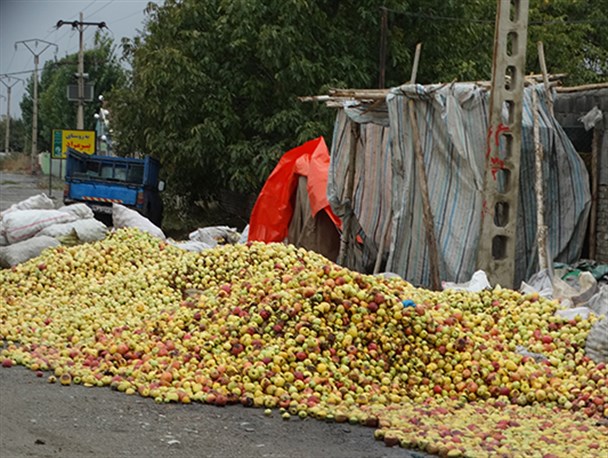 گندیده شدن چندین ماه تلاش بی وقفه باغداران در کنار جاده ها