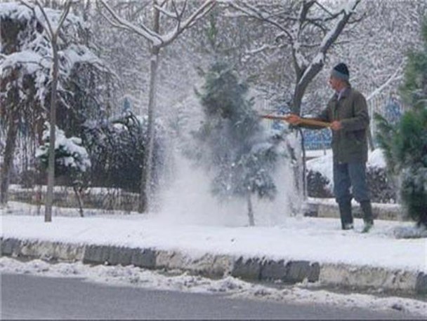 با افرادی که به بهانه بارش برف درختان را قطع کنند برخورد می شود