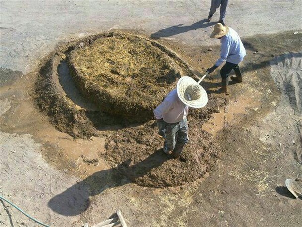 «بام اندود» شیوه مردمان قدیم برای مقاوم سازی خانه های کاهگلی+تصاویر