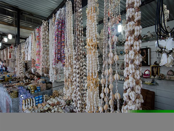 ساخت هنرهای فاخر از صدف‌های بی‌جان/ صنایع دستی دریایی، زمینه‌ای برای اشتغال ساحل‌نشینان است