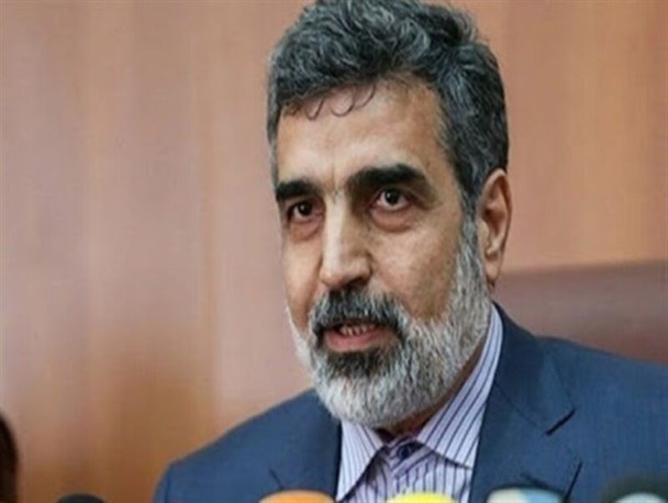 آژانس اتمی انتشار اطلاعات و نامه‌های محرمانه ایران را متوقف کند/ در تعاملات خود بازنگری می‎ کنیم