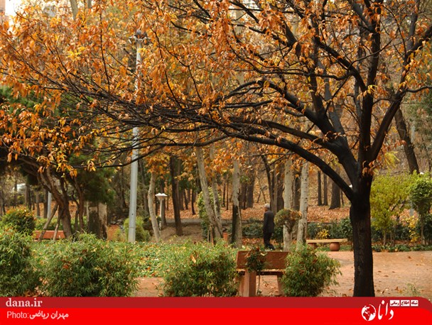 تصاویر/رخت پائیز بر تن پارک‌ها