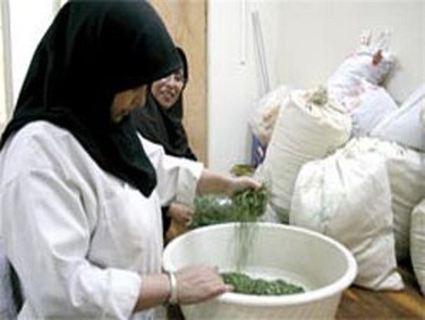 پایان محدودیت اشتغال بانوان با پشتوانه بسیج سازندگی/ به‌کارگیری ظرفیت بانوان در راستای تحق اقتصاد مقاومتی