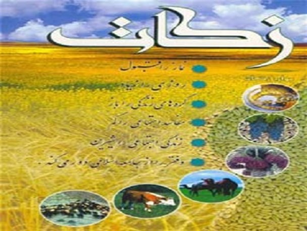زکات ۹۰کیلو گرمی زعفران در رشتخوار