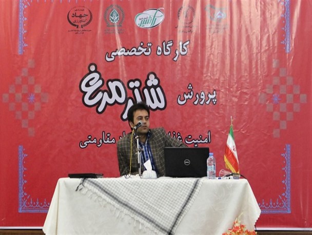 بزرگترین کارگاه آموزشی پرورش شتر مرغ شرق کشور برگزار شد