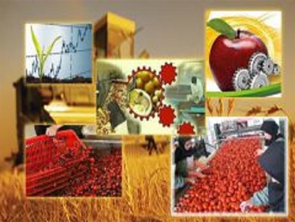 ارائه تسهیلات اشتغال در سمیرم به بخش کشاورزی و صنایع تبدیلی/کارورزی سابقه کار محسوب نمی شود
