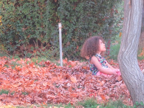 پاییز هزار رنگ پارک مهرورزی یاسوج به روایت تصویر