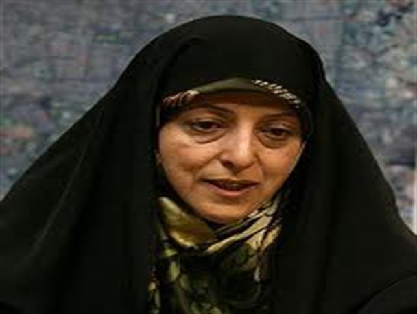رئیس سازمان محیط زیست کشور وارد زابل شد